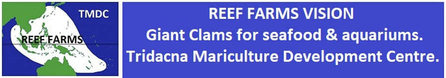 Giant Clams for aquariums and sea-food.